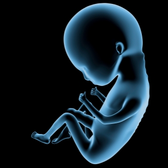 L'anesthsie locale et le foetus